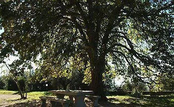 Antico Casale Di Montegualandro & *